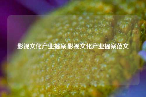 影视文化产业提案,影视文化产业提案范文