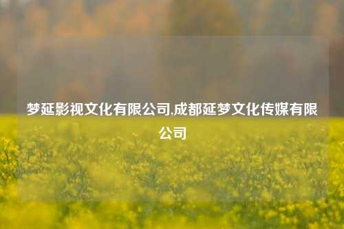 梦延影视文化有限公司,成都延梦文化传媒有限公司