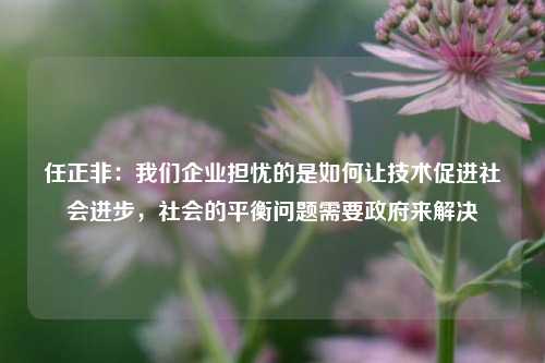 任正非：我们企业担忧的是如何让技术促进社会进步，社会的平衡问题需要政府来解决