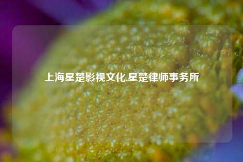 上海星楚影视文化,星楚律师事务所