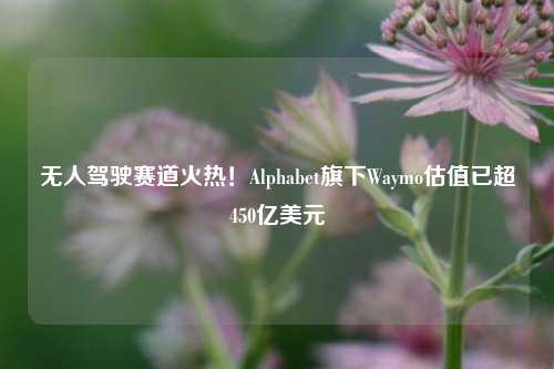 无人驾驶赛道火热！Alphabet旗下Waymo估值已超450亿美元