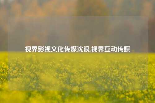 视界影视文化传媒沈浪,视界互动传媒