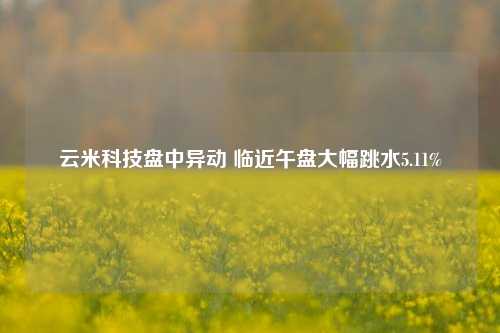 云米科技盘中异动 临近午盘大幅跳水5.11%