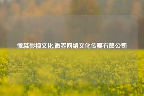 微淼影视文化,微淼网络文化传媒有限公司