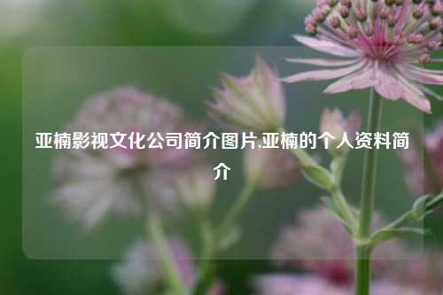 亚楠影视文化公司简介图片,亚楠的个人资料简介