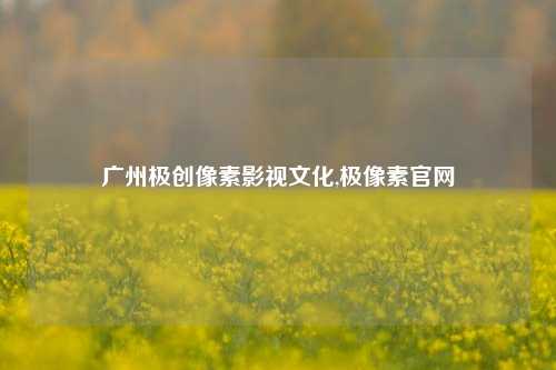 广州极创像素影视文化,极像素官网