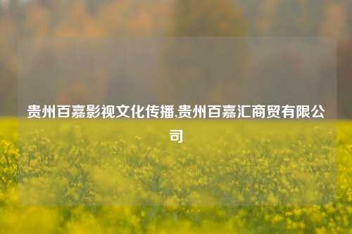 贵州百嘉影视文化传播,贵州百嘉汇商贸有限公司