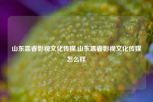 山东嘉睿影视文化传媒,山东嘉睿影视文化传媒怎么样