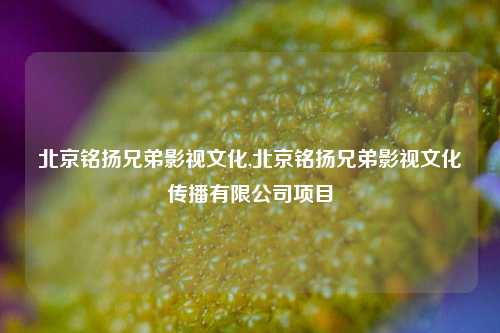 北京铭扬兄弟影视文化,北京铭扬兄弟影视文化传播有限公司项目