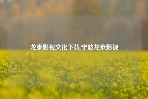 龙泰影视文化下载,宁波龙泰影视