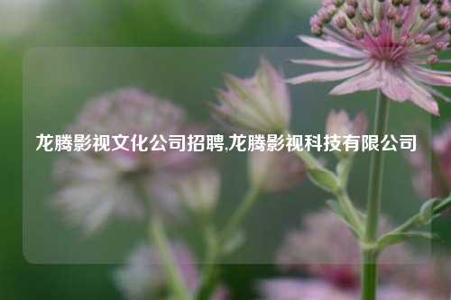 龙腾影视文化公司招聘,龙腾影视科技有限公司