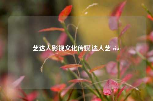 艺达人影视文化传媒,达人艺 rise