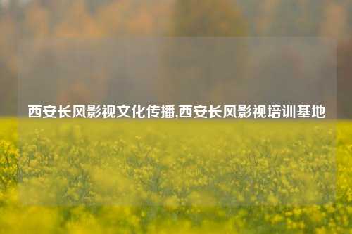 西安长风影视文化传播,西安长风影视培训基地