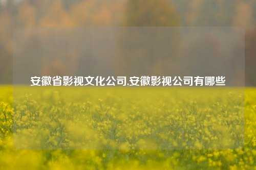 安徽省影视文化公司,安徽影视公司有哪些