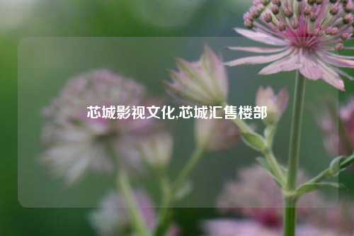 芯城影视文化,芯城汇售楼部