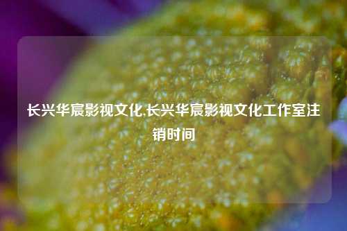 长兴华宸影视文化,长兴华宸影视文化工作室注销时间