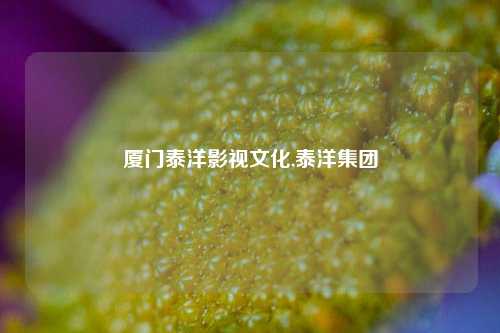 厦门泰洋影视文化,泰洋集团