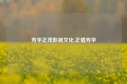 芳华正茂影视文化,正值芳华