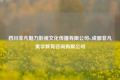 四川非凡魅力影视文化传播有限公司v,成都非凡美学教育咨询有限公司