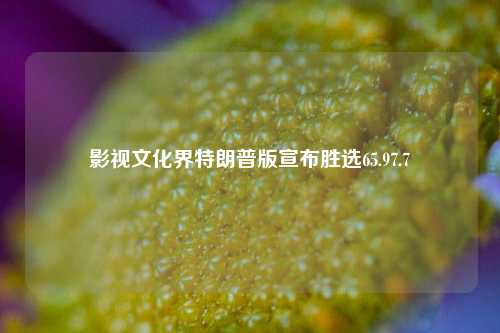 影视文化界特朗普版宣布胜选65.97.7