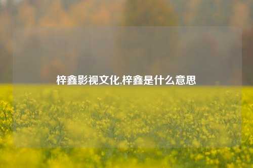 梓鑫影视文化,梓鑫是什么意思