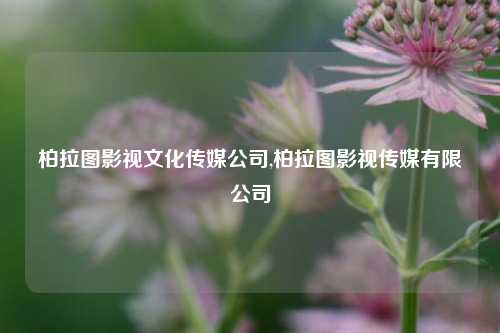 柏拉图影视文化传媒公司,柏拉图影视传媒有限公司