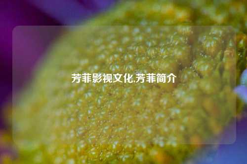 芳菲影视文化,芳菲简介