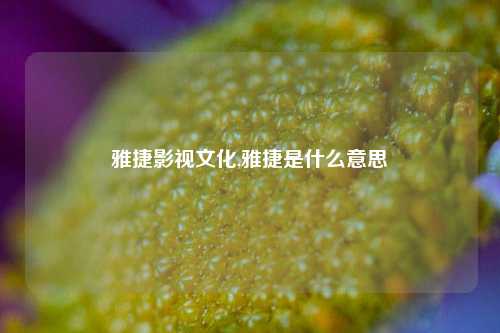 雅捷影视文化,雅捷是什么意思