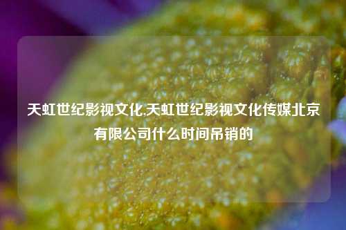 天虹世纪影视文化,天虹世纪影视文化传媒北京有限公司什么时间吊销的