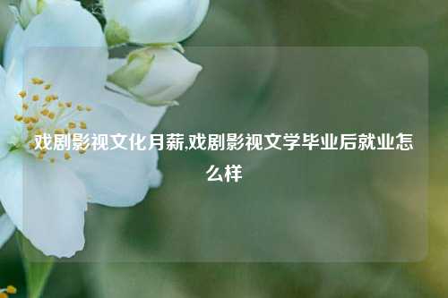 戏剧影视文化月薪,戏剧影视文学毕业后就业怎么样