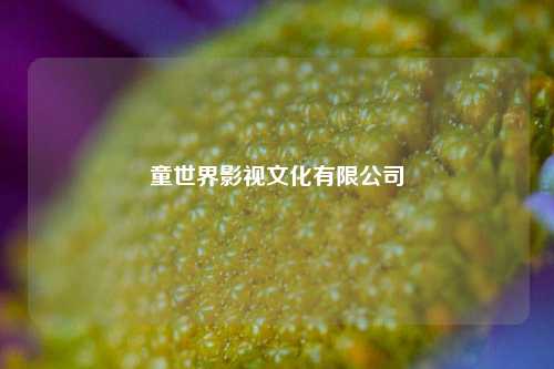 童世界影视文化有限公司