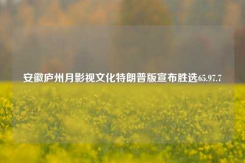 安徽庐州月影视文化特朗普版宣布胜选65.97.7