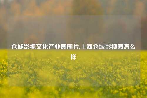 仓城影视文化产业园图片,上海仓城影视园怎么样