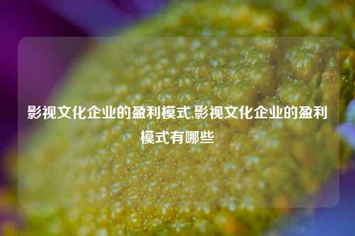 影视文化企业的盈利模式,影视文化企业的盈利模式有哪些