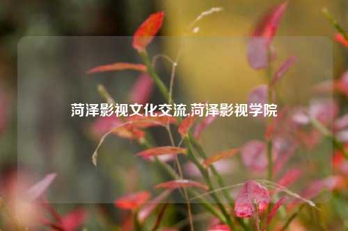 菏泽影视文化交流,菏泽影视学院