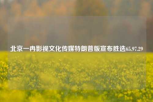 北京一冉影视文化传媒特朗普版宣布胜选65.97.29