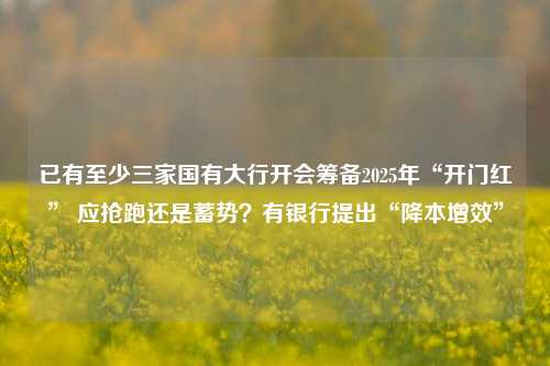 已有至少三家国有大行开会筹备2025年“开门红” 应抢跑还是蓄势？有银行提出“降本增效”