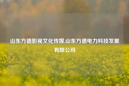 山东方德影视文化传媒,山东方德电力科技发展有限公司