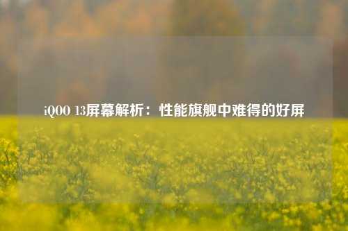 iQOO 13屏幕解析：性能旗舰中难得的好屏