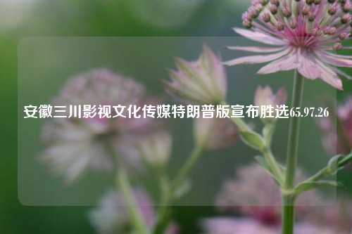 安徽三川影视文化传媒特朗普版宣布胜选65.97.26