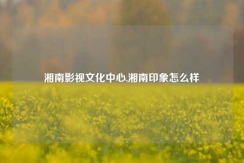 湘南影视文化中心,湘南印象怎么样