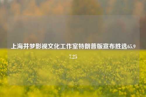 上海井梦影视文化工作室特朗普版宣布胜选65.97.25