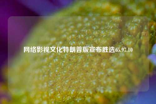 网络影视文化特朗普版宣布胜选65.97.10