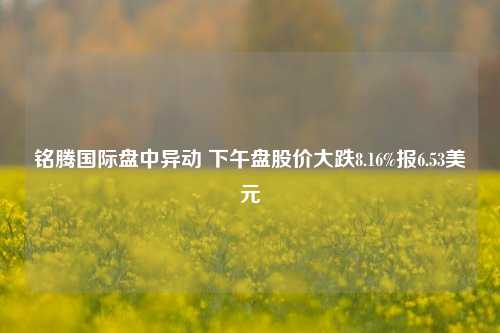 铭腾国际盘中异动 下午盘股价大跌8.16%报6.53美元