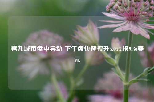 第九城市盘中异动 下午盘快速拉升5.05%报9.36美元