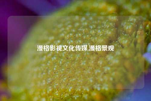 漫格影视文化传媒,漫格景观