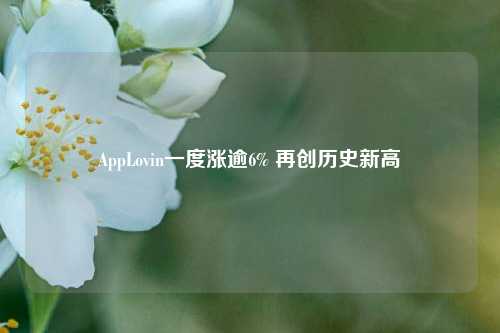 AppLovin一度涨逾6% 再创历史新高