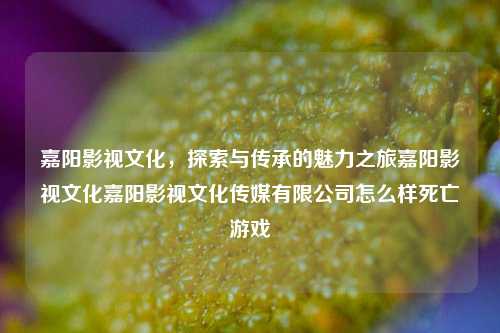 嘉阳影视文化，探索与传承的魅力之旅嘉阳影视文化嘉阳影视文化传媒有限公司怎么样死亡游戏