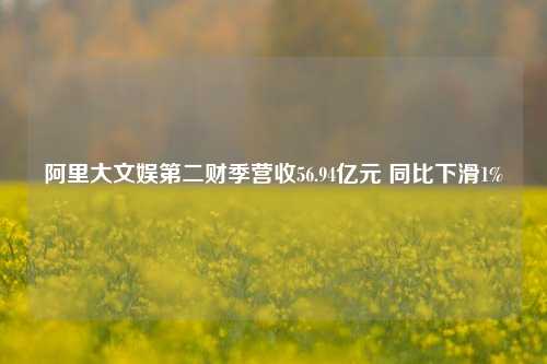 阿里大文娱第二财季营收56.94亿元 同比下滑1%