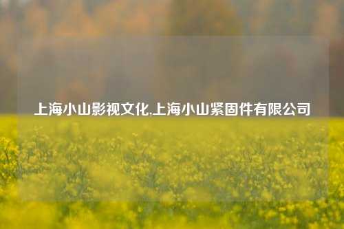 上海小山影视文化,上海小山紧固件有限公司